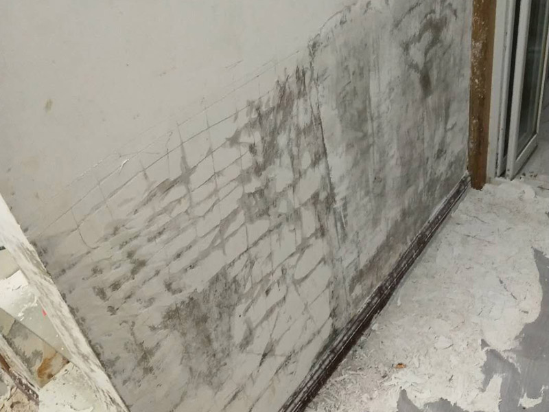 靠近卫生间的乳胶漆墙面发霉怎么处理？墙壁发霉能彻底解决吗？(图2)